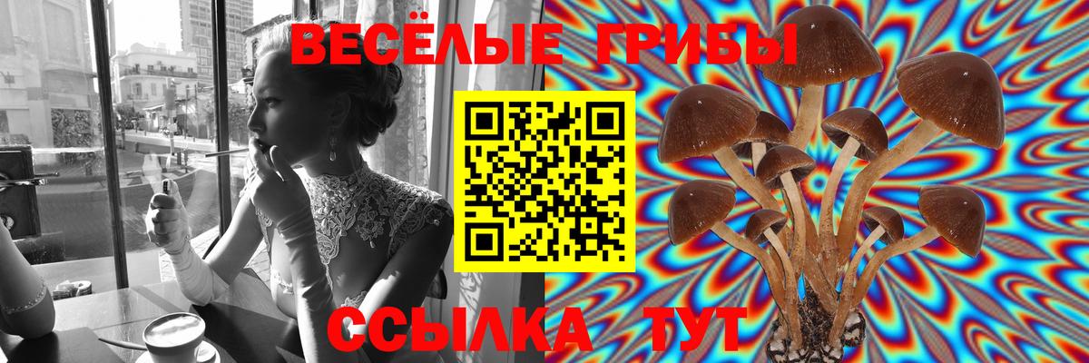 Псилоцибиновые грибы мицелий Тихорецк