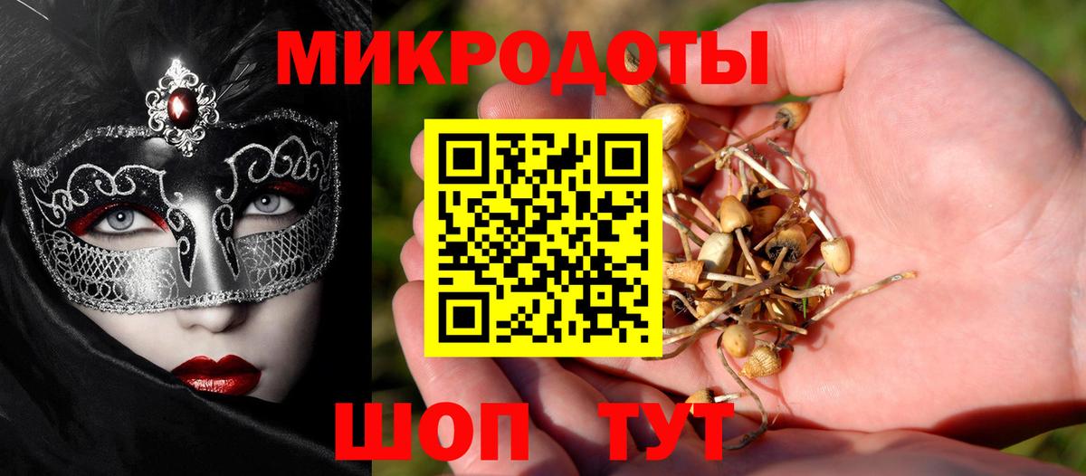 Псилоцибиновые грибы MAGIC MUSHROOMS  Псилоцибиновые грибы Cubensis  Вход с VPN  как найти наркотики  Тихорецк 